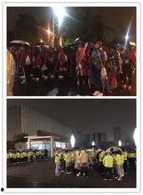 娱乐吃瓜君视频看热闹,揭秘娱乐圈幕后热点，带你领略明星们的“热闹”生活